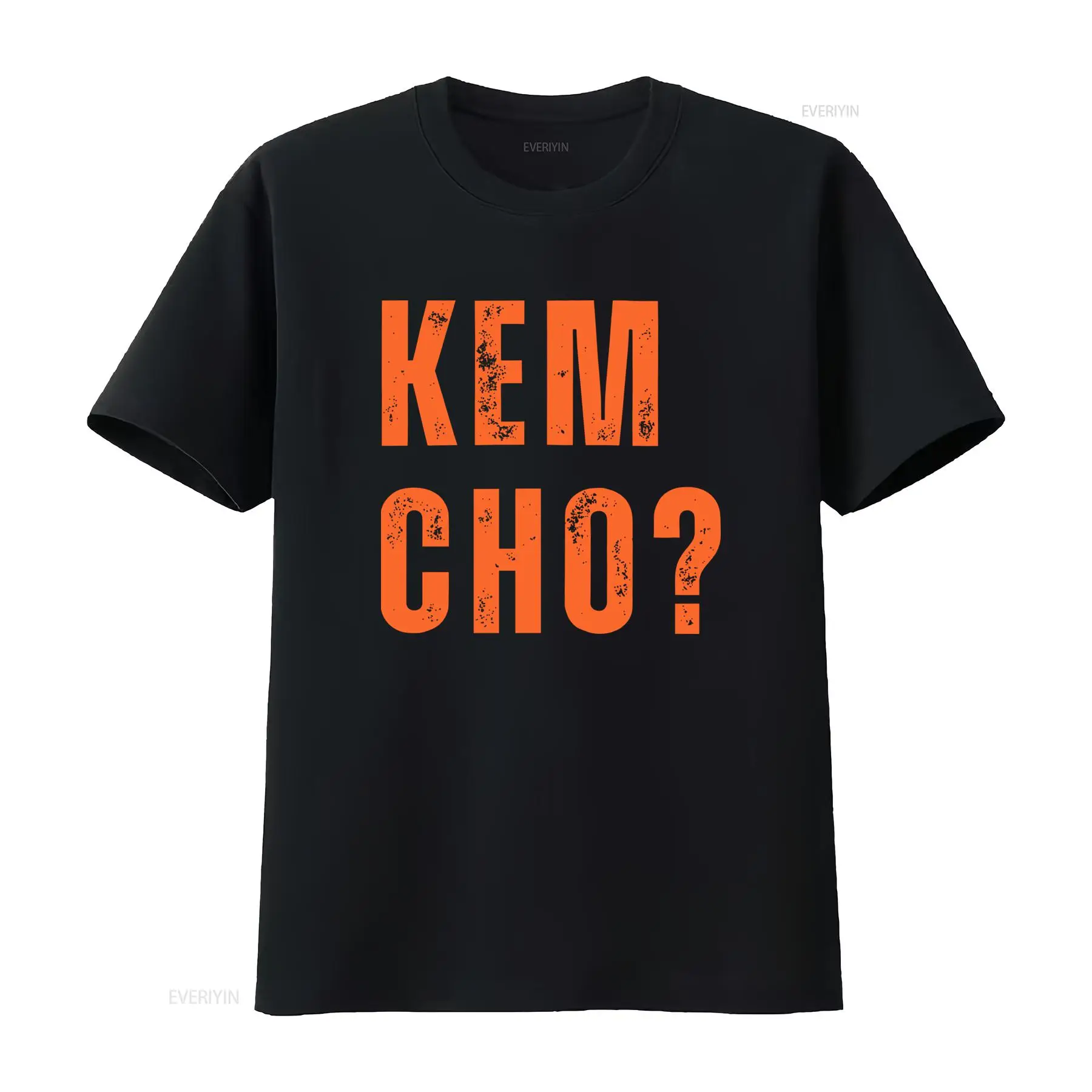 Fashion Ethnic Indian Clothing - ケムチョTシャツ グジャラート綿 インド語柄衣料 エスニックトップ カルチャーヴィンテージ ウォッシュドグラフィック